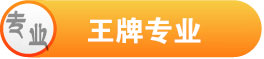 王牌专业